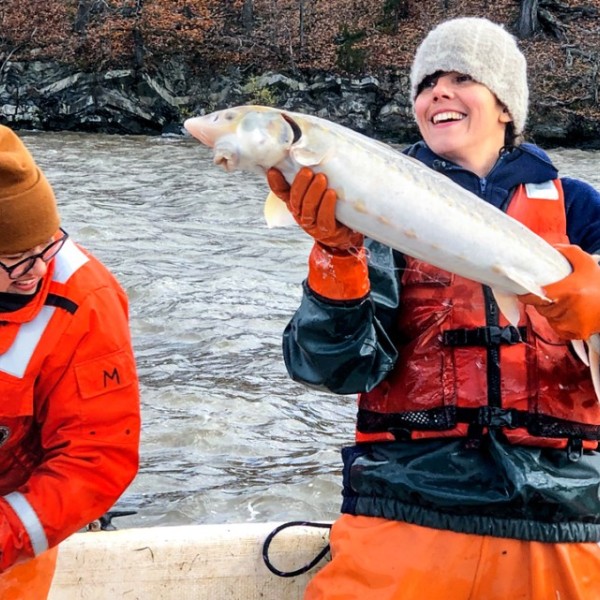 Three people in a boat with on holding up the albino shortnose sturgeon