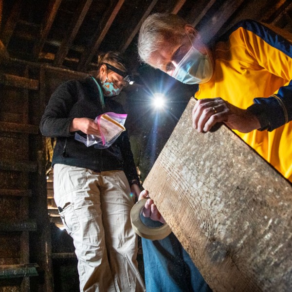 Brita Lorentzen and Sturt Manning examine wood in the belfry of St. James A.M.E. Zion Church.