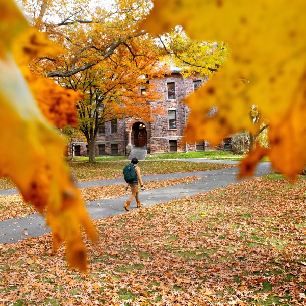 A student is framed by gold leaves on the Arts Quad.