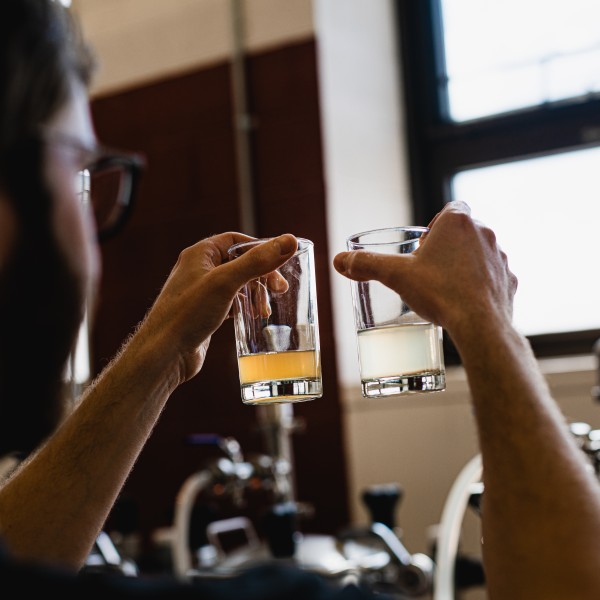 Man looks at beverages in two glasses.