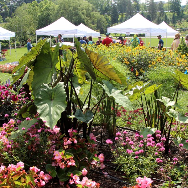 trial bed outside Nevin Center
