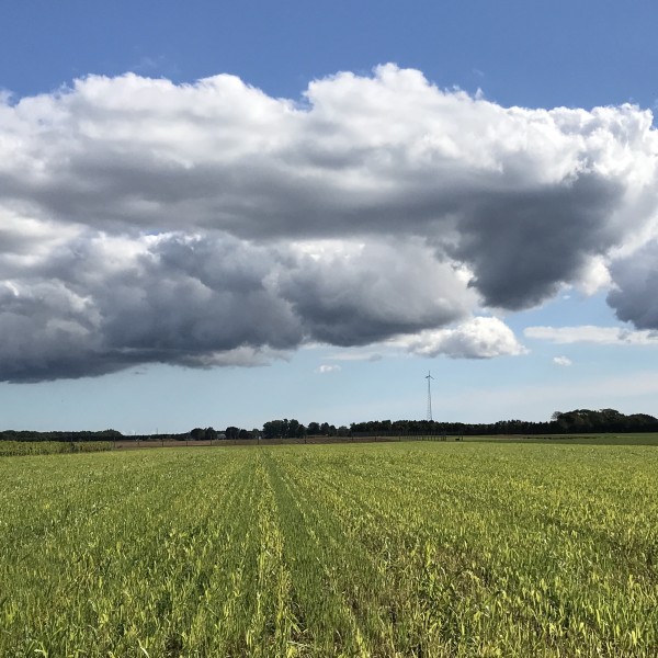 field with cloud
