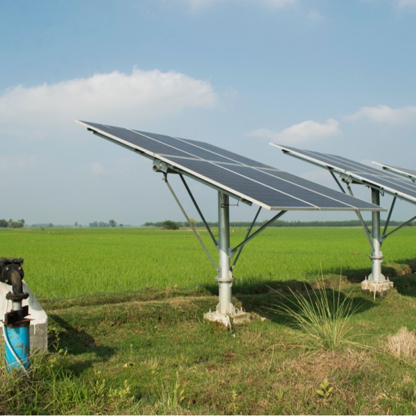 Solar panels power irrigation pumps on a paddy field