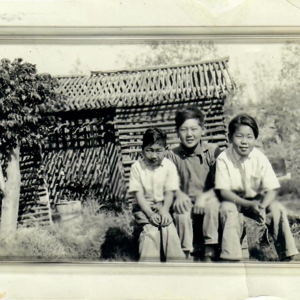 Harry, Josh and Jimmy Tsujimoto at their family's farm