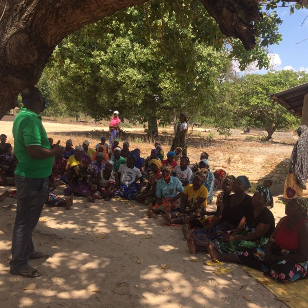 People gather outside under a tree to listen to a person speak