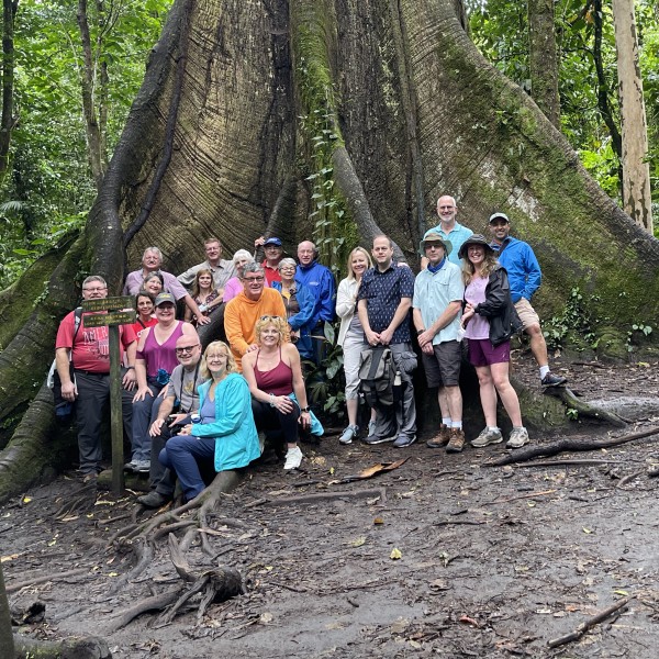 Group of alumni stand in front of tall tree