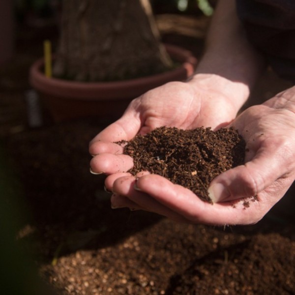 Two hands holding some soil