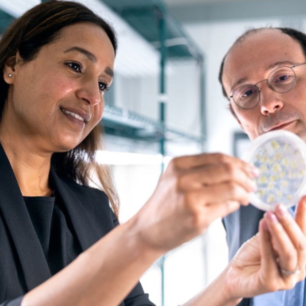 Gagan Sidhu, Ph.D. '11, left, and Luc Mathis, of Meiogenix, examine seed specimens in a growth lab