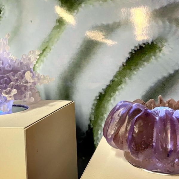Two pieces from the installation “Model Organisms" sitting on a display.