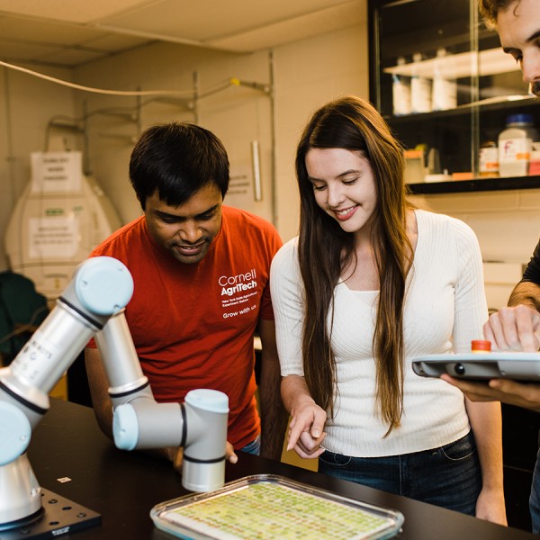 Students look into a microscope.