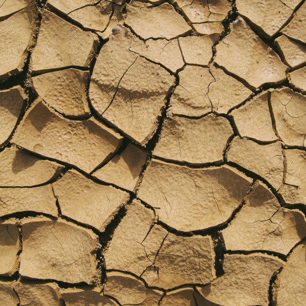 Dry, cracked earth