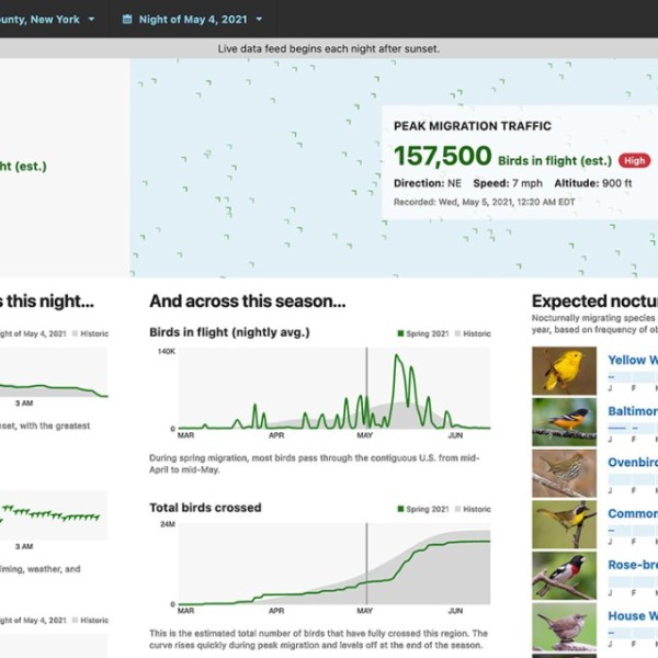 Screenshot of website