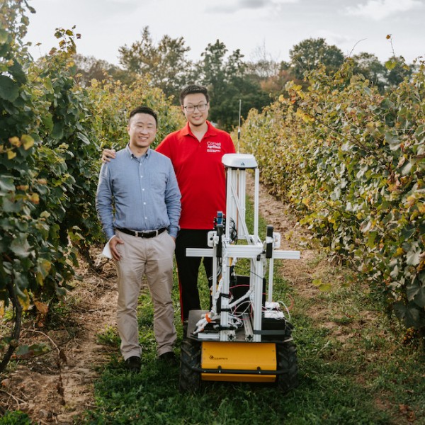 Yu Jiang and Ph.D. student Ertai Liu stand with an agricultural robot in a grape vineyard
