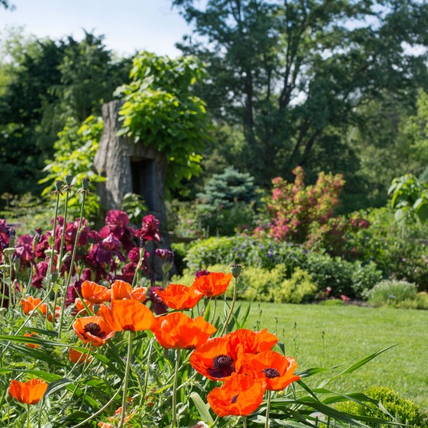 A garden with orange and red flowers in the foreground and a lawn in the background