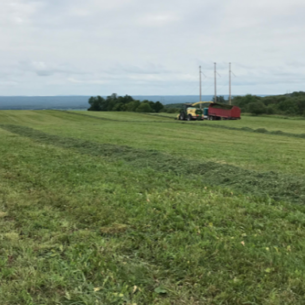 first cutting of a farm field