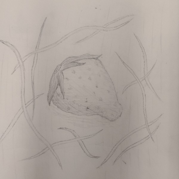 Strawberry drawing