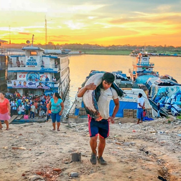 A boy holds a large fish.