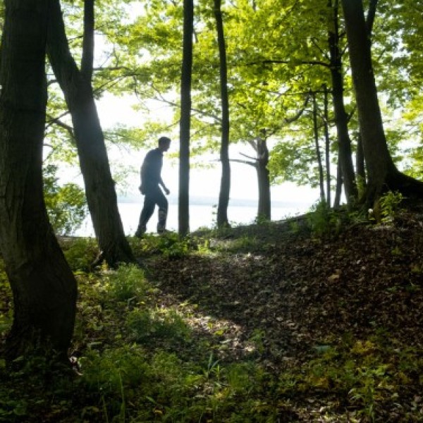 A man walks in the woods.