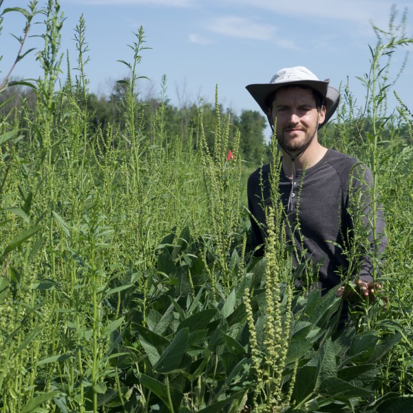 Bryan Brown stands among weeds.