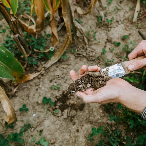 A pair of hands holding a small trowel taking soil sample