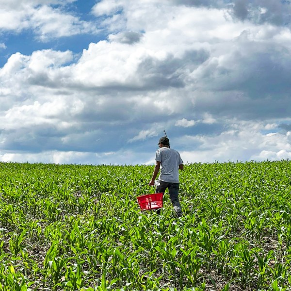 Juan Carlos in field