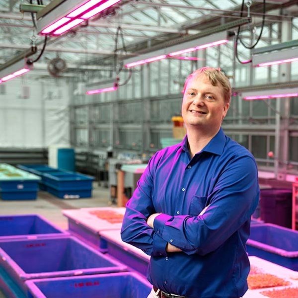 neil mattson in greenhouse