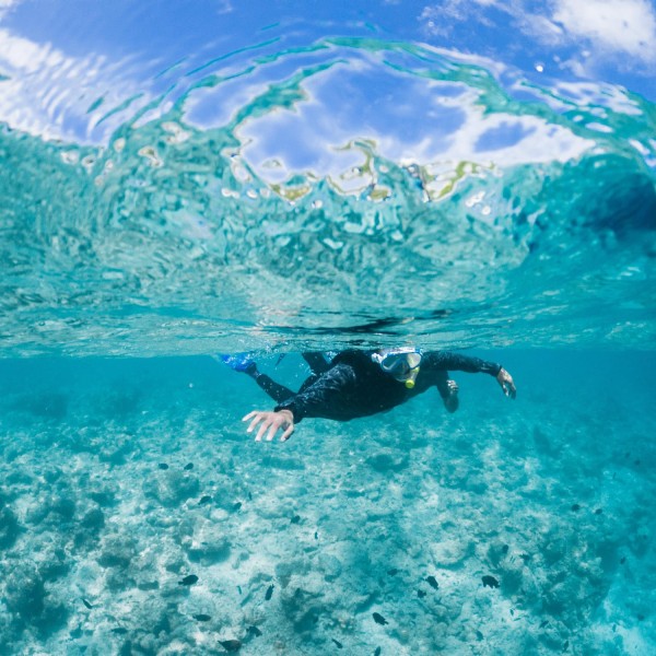 Anonymous snorkeler swimming in azure seawater