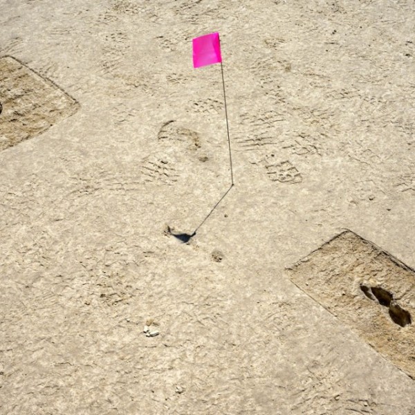 Footprints discovered on an archaeological site are marked with a pin flag on the Utah Test and Training Range.
