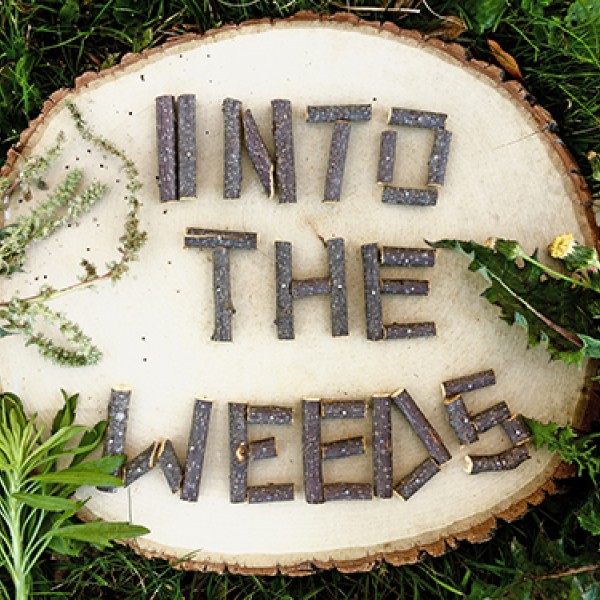 a stump with the words "Into the Weeds" written on it