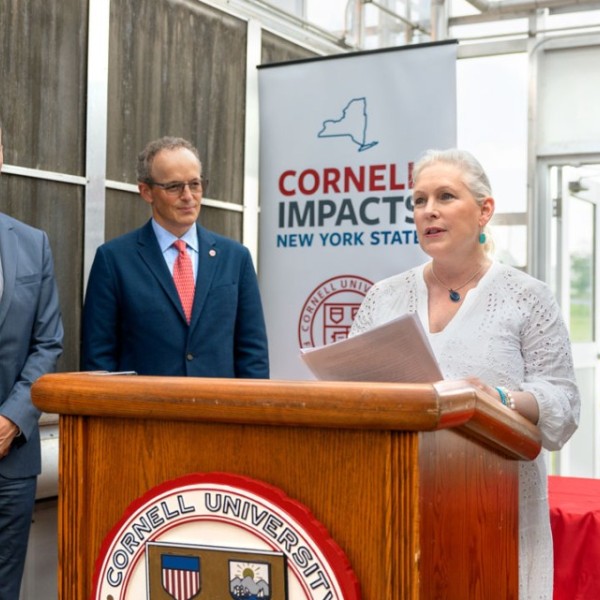 Senator Gillibrand speaks at a podium