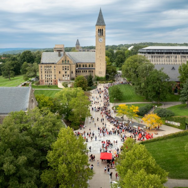 An aerial view of Ho Plaza