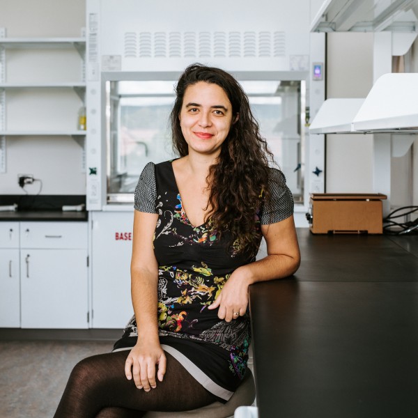 Headshot of Eirene Markenscoff-Papadimitriou