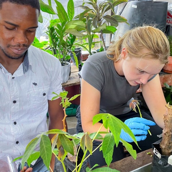 Image of two students working on plants