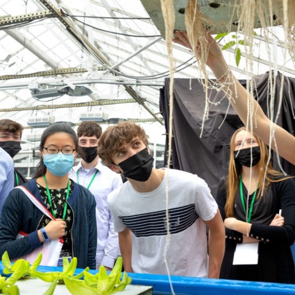 A group of students inspects an aquaponic system.