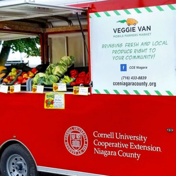 A red van, with an opened hatch, revealing a large variety of vegetables.