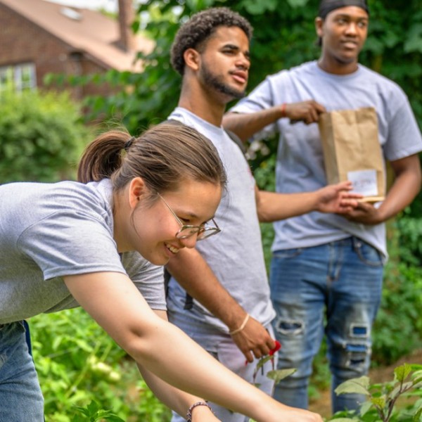 Nika Colley and two others in an urban garden, inspecting crops.