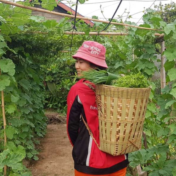 Chindavone Sanlath carries harvested vegetables on a pack in her garden