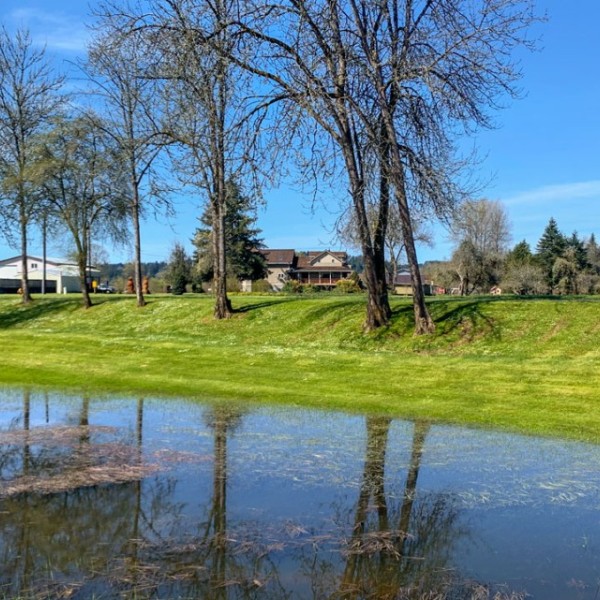 Photo of homes by a small body of water.