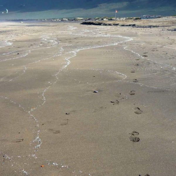 Microplastics outline the incoming tide at a Lanzarote Island beach in the Canary Islands.