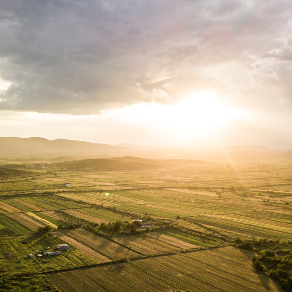 landscape of fields