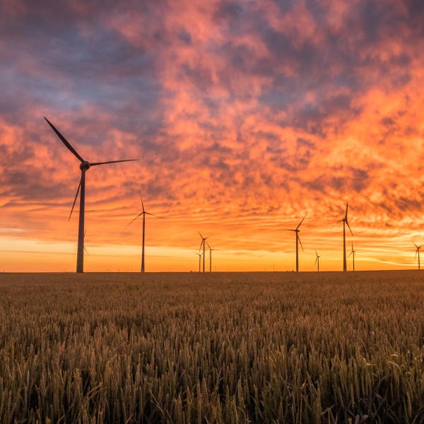 Wind turbines in a field