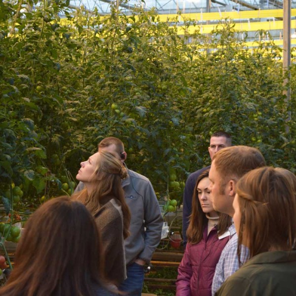 A group inspects plants in a greenhouse