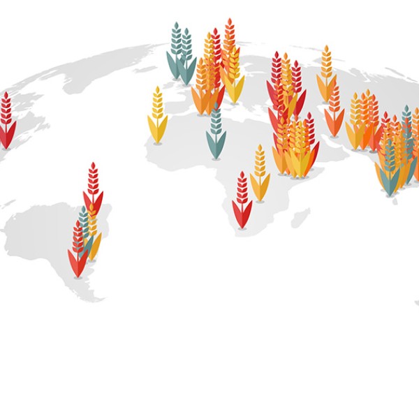 Globe with colored wheat spikes