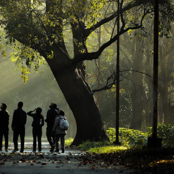 Enjoying nature close to home was associated with the greatest sense of well-being during the pandemic.