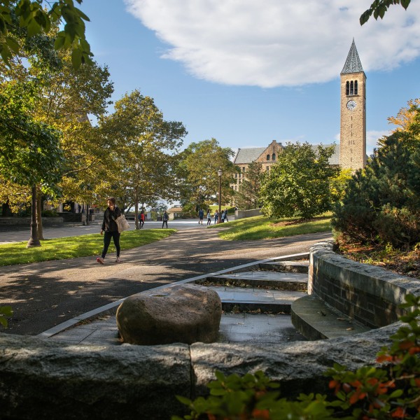 Landscape of Cornell campus