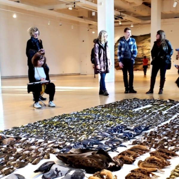 FLAP holds an annual event at which all collision casualties from the past year are placed together.