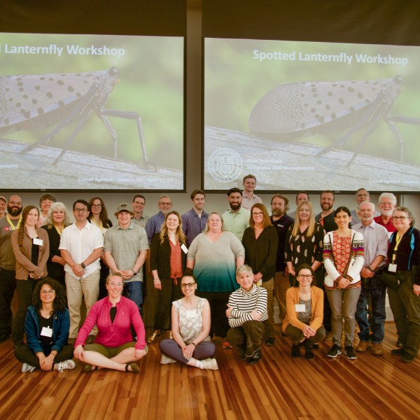 spotted lanternfly workshop attendees