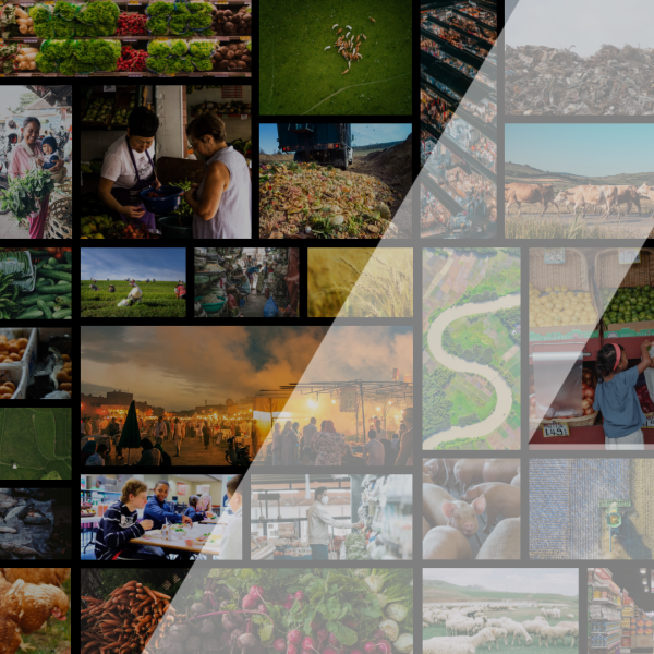 collage of photos with delta symbol overlay