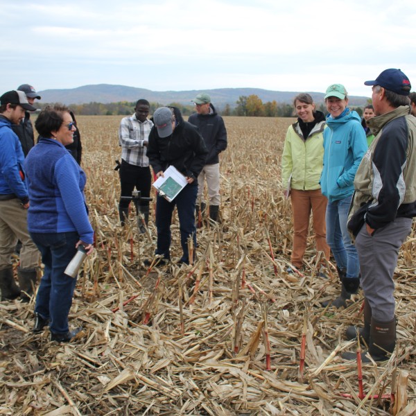 People standing in a harvested corn field. 