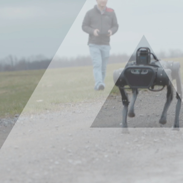 robotic dog with a delta overlay
